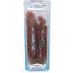 Tetra rostlina Red Foxtail Plus 30 cm – Zboží Mobilmania