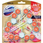 Domestos Aroma Lux Dahlia Flower & Dragonfruit tuhý WC blok 3 x 55 g – Sleviste.cz