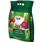 Rašelina Premium substrát pro kaktusy a sukulenty 5 litrů – Hledejceny.cz