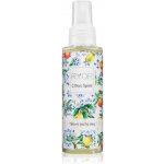 RYOR Citrus Spirit tělový suchý olej sprej 100 ml – Zboží Dáma