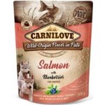 Carnilove Pouch Paté Salmon & Blueber Puppies 300 g – Zboží Dáma