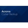 Práce se soubory Acronis Cyber Protect - Backup Advanced Server Subscription License, 1 Year, A1WAEBLOS21