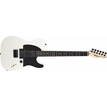 FENDER Jim Root Telecaster