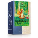 Sonnentor Nadechnutí v lese Bio 21,6 g – Hledejceny.cz