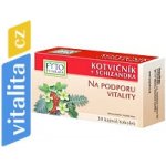 Fyto Kotvičník+Schizandra na podp.vitality 30 tobolek – Hledejceny.cz