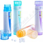 ALLIUM CEPA POR 5CH GRA 1X4G – Hledejceny.cz