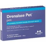 NBF Lanes drenalase pet Mini pes a kočka odvodnění tekutin 20 tbl – Hledejceny.cz