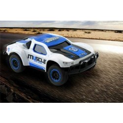 IQ models Muscle rally racing RC 93665 RTR 1:43