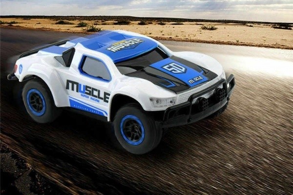 IQ models Muscle rally racing RC 93665 RTR 1:43