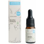 Kvitok pleťové sérum rozjasňující s vitamínem C 10 ml – Zboží Dáma