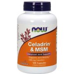 NOW Foods NOW Celadrin a MSM 500 mg 120 kapslí – Zboží Mobilmania