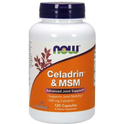 NOW Foods NOW Celadrin a MSM 500 mg 120 kapslí – Zboží Mobilmania