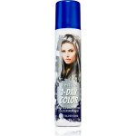 Venita 1 Day color spray Silver Shine 50 ml – Sleviste.cz