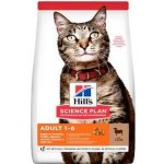 Hill's Feline Adult Lamb & Rice 1,5 kg – Zboží Mobilmania