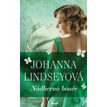 Nádherná bouře - Lindseyová Johanna – Hledejceny.cz
