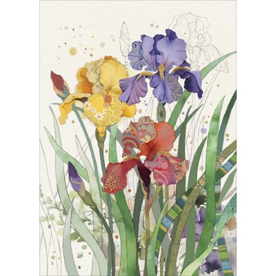 Přání B060 BUG ART – Hledejceny.cz