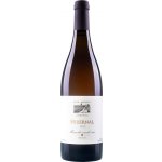 Petr Kočařík Hibernal 2023 14,5% 0,75 l (holá láhev) – Hledejceny.cz