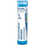 AURUM MURIATICUM NATRONATUM POR 9CH GRA 1X4G – Hledejceny.cz