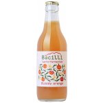 Optimistic BIO Bacilli fermentovaná limonáda Bloody Orange 330 ml – Zboží Dáma