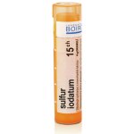 SULFUR IODATUM POR 15CH GRA 4G – Hledejceny.cz