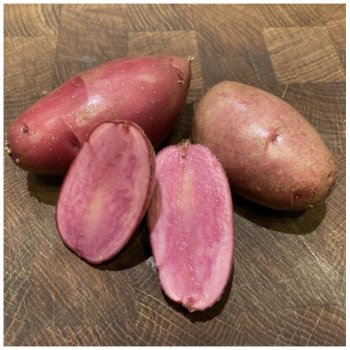 Sadbové brambory Heiderot - Solanum tuberosum - brambory - 5 ks