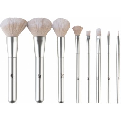 CIEN Beauty Sada kosmetických štětců, 9dílná (stříbrná) – Zboží Dáma