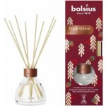 Bolsius TRUE GLOW Osvěžovač vzduchu ZIMNÍ KOŘENÍ 60 ml – Hledejceny.cz