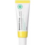 A'Pieu Hamamelis Cream hydratační pleťový krém pro rozšířené póry 50 ml – Zboží Mobilmania