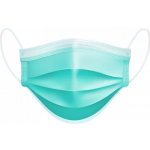 Dispomask jednorázová ústní rouška zelená 10 ks – Zboží Mobilmania