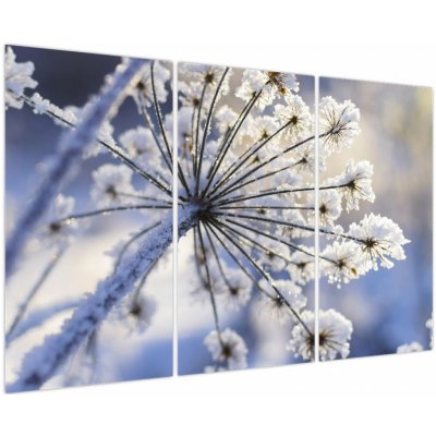 Obraz - Zmrzlý květ, třídílný 120x80 cm – Hledejceny.cz