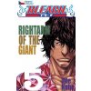 Komiks a manga Bleach 5: Right Arm of the Giant - Kubo Tite