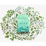 Sada samolepek - Světle zelené rostliny (45ks) – Zboží Živě