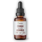 Blendea Chaga kapky 30 ml – Hledejceny.cz