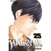 Komiks a manga Haikyu!! 25 - Haruichi Furudate