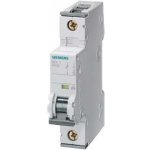 Siemens 16B/1 5SY4116-6 10kA – Sleviste.cz