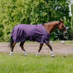 Equitème Deka výběhová Tyrex Aisance 600D plum – Zboží Dáma