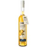 R. JELÍNEK Vizovická jadernička 42% 0,7 l (holá lahev) – Zboží Dáma