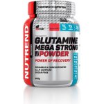 NUTREND Glutamine Mega Strong Powder 500g – Hledejceny.cz