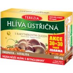 Terezia Company Hlíva ústřičná s rakyt.olejem 30 + 30 kapslí – Hledejceny.cz