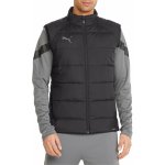Puma teamLIGA Jacket 65796803 – Sleviste.cz