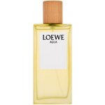 Loewe Agua toaletní voda unisex 100 ml – Hledejceny.cz