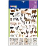 Samolepky zvířata 300 ks – Zboží Dáma