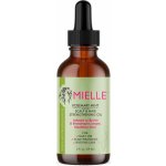 Mielle Rosemary Mint Scalp & Hair Strengthening Oil 59 ml – Sleviste.cz