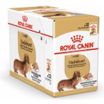 Royal Canin Adult Dashund 12 x 85 g – Zboží Mobilmania