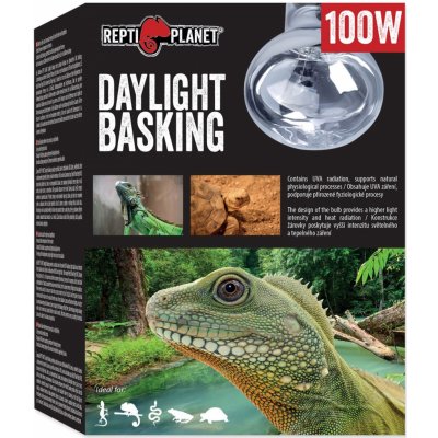 Repti Planet Daylight Basking Spot 100 W 007-41004 – Hledejceny.cz