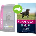 Eukanuba Adult Large Breed 3 kg – Hledejceny.cz