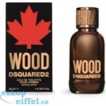 Dsquared2 Wood toaletní voda pánská 30 ml – Hledejceny.cz