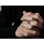 Olivie Pánský stříbrný prsten ČESKÝ LEV 9600 – Zboží Dáma