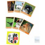 Pexeso: PSI v krabičce – Zboží Živě