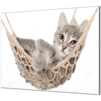 Glasdekor Ochranná deska kotě v houpací síti - Ochranná deska: 40x40cm, Lepení na zeď: S lepením na zeď – Zboží Mobilmania